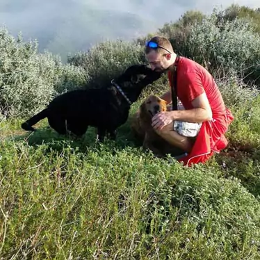 Outdoor dog interaction pictured on the business’s original website