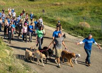 Community pack walk pictured on the business’s original website